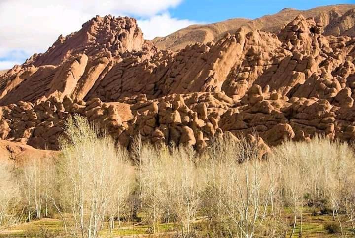 Hotel Kasbah Ait Arbi Ait Ougliff Zewnętrze zdjęcie