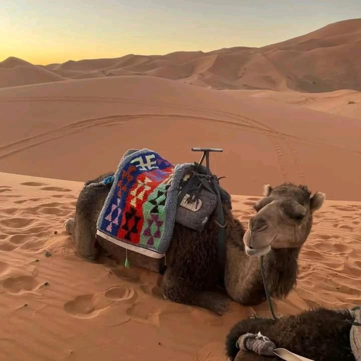 Hotel Kasbah Ait Arbi Ait Ougliff Zewnętrze zdjęcie