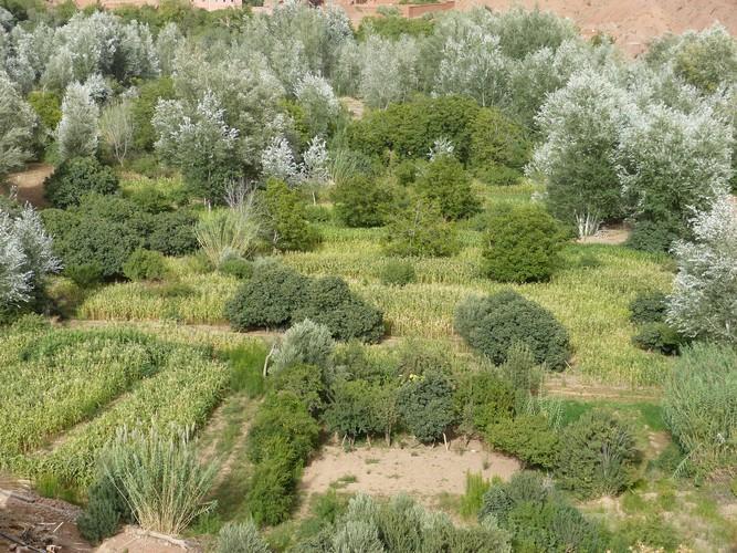 Hotel Kasbah Ait Arbi Ait Ougliff Zewnętrze zdjęcie